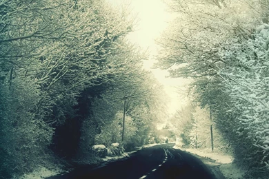 Nature New HD 1080p Wallpaper Backgrounds