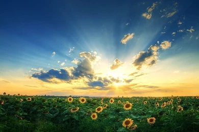 Best Sources For Desktop Pictures Free Downloads: Pictures For ...