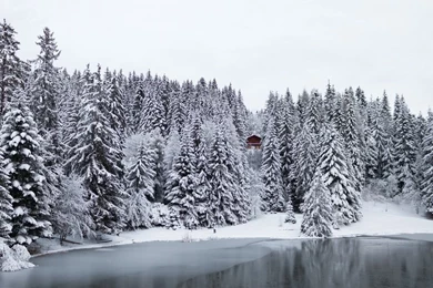 Nature_1 1024x640.jpg