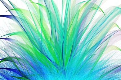Screen Background: Peacock Flare By Otaku Chan 266 On DeviantArt