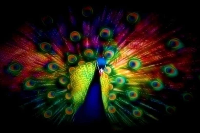 Google Image Result For Http://freewallpaperspot.com/wallpapers ...