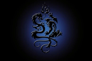 Black Dragon Wallpapers   Widescreen HD Wallpapers