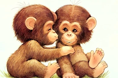Download Cute Cartoon Monkey Wallpapers 800x600