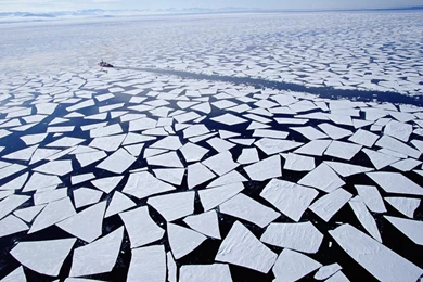 Antarctica Capital City   Wallpaper.