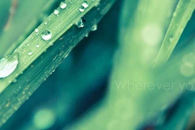 Best Mobile iPhone Wallpapers & Backgrounds With Nature