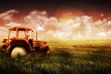 High Definition Wallpapers Free Download_hd Wallpaper_download ...