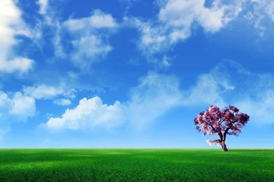 Free Widescreen Wallpapers   HD Wallpapers Lovely