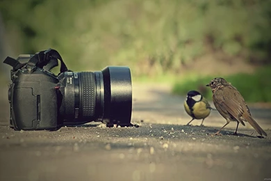 Widescreen Wallpapers, Full HD Desktop Wallpapers, Backgrounds ...