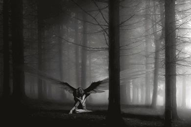 Courtney Baird: Angel Hd