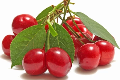 117 Cherry HD Wallpapers