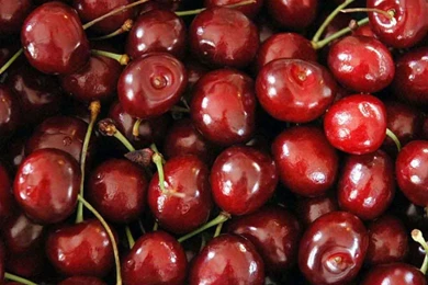 Cherry Fruit Wallpapers   Crazy Frankenstein