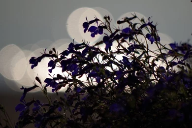 500+ HD Wallpapers For PC 1920x1080 Feee Download 2016