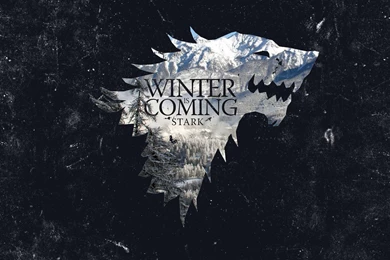 Anyone Use The Whites Bullseye II Probe & Actually Like It ...