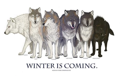 Game Of Thrones, Winter Is Coming, Direwolf, Ghost, House Stark ...