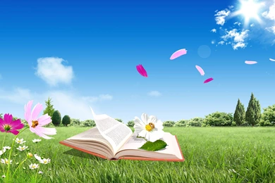 4K Ultra HD Book Wallpapers HD, Desktop Backgrounds 3840x2160 ...