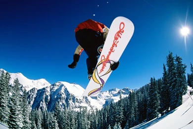 Glenn Denny: Love Snowboard Price