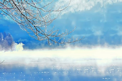 Nature Desktop Wallpapers