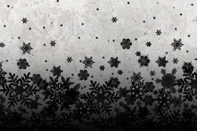 Black Snowflakes On A Texture Wallpapers 27774
