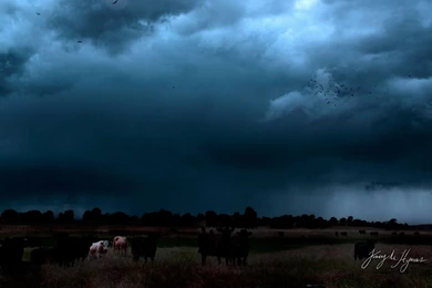 The Dark Sky 1600x900 Wallpapers, 1600x900 Wallpapers & Pictures ...