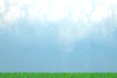 Grass Field And Blue Sky Wallpapers   Digital Art Wallpapers