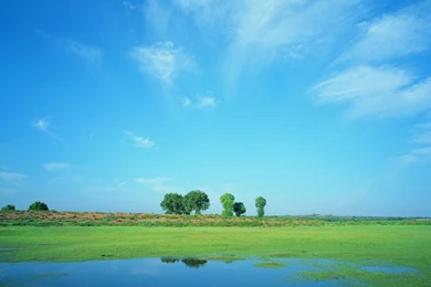 Blue Sky Prairie Scenery 22900   Wallpapers Landscape Scenery ...