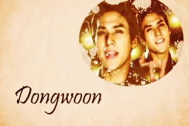Dongwoon Wallpapers   BEAST/B2ST Photo (18971138)   Fanpop