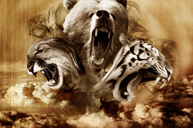 The Beast Wallpapers >> Backgrounds With Quality HD