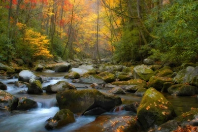 High Def Wallpapers Wallpapers HD Fine