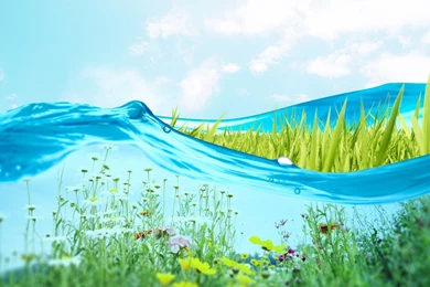 Fresh Green Wallpapers Wallpapers   HD Wallpapers 85217