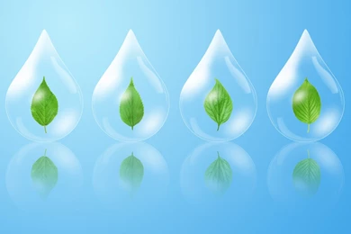 Fresh Green Wallpapers Wallpapers   HD Wallpapers 85219