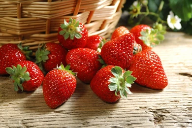 Fresh Strawberries Wallpapers Wallpapers   HD Wallpapers 86123
