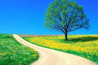 Fresh Wallpapers   Get Fresh : Natures Colors