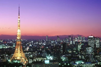 Tokyo Tower At Night   Wallpaper.