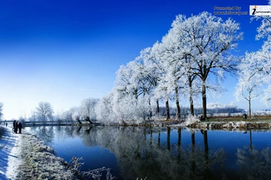 Winter Hd Images   Photo 42 Of 331