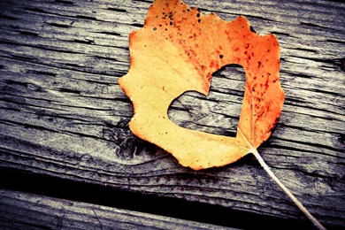 Top 100 HD Love Wallpapers (High Quality)