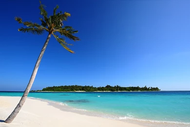 Backgrounds Beach Images Free