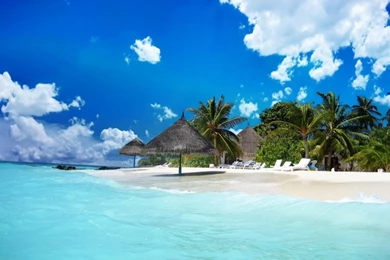 Beach Life Wallpapers