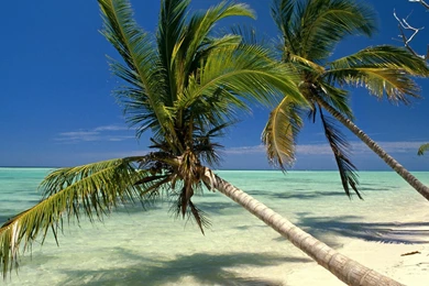 Desktop, Backgrounds, Wallpapers, Indies, Dominican, Punta, Beach ...