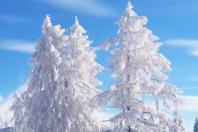 Galaxy S3 Wallpapers HD   Beautiful, Stunning Wallpapers