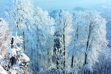 Galaxy S3 Wallpapers HD   Beautiful, Stunning Wallpapers