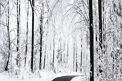 Galaxy S3 Wallpapers HD   Beautiful, Stunning Wallpapers