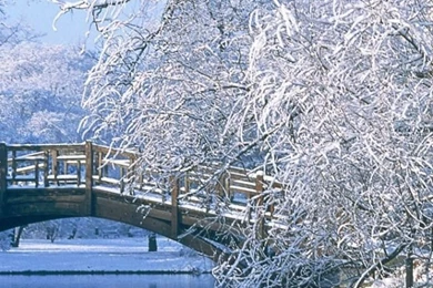 640x1136 Winter Scenery Iphone 5 Wallpapers