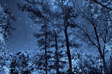 Galaxy S3 Wallpapers HD   Beautiful, Stunning Wallpapers