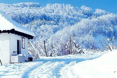 640x1136 Winter White Landscape Iphone 5 Wallpapers