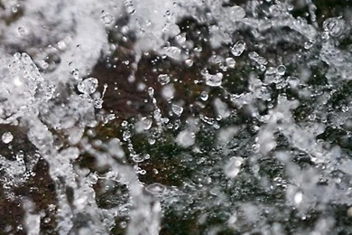 Melting Winter Snow iPhone 5s Wallpapers Download