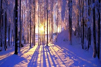 Galaxy S3 Wallpapers HD   Beautiful, Stunning Wallpapers