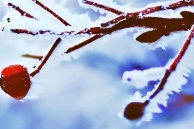 Wallpapers Weekends: Snow Is In The Air