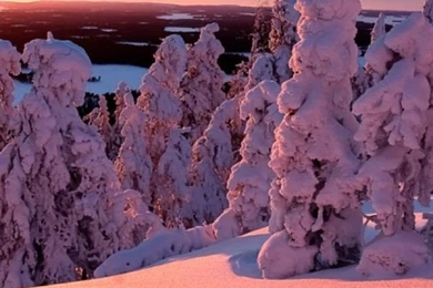 Winter Landscape iPhone 5 Wallpapers