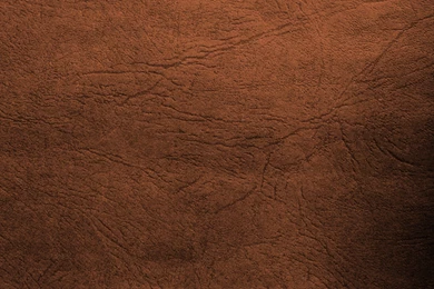 Brown Leather Wallpapers   Brown Photo (28317148)   Fanpop   Page 10