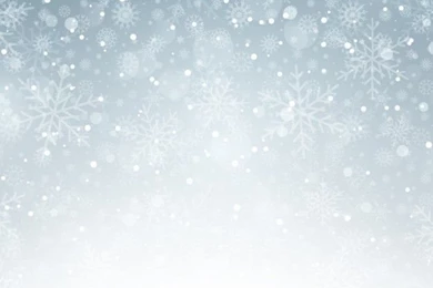 Silver Backgrounds With Snowflakes Vector